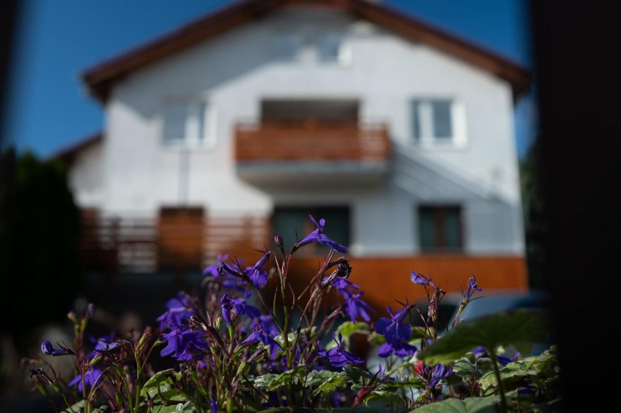 Apartamenty Karkonosze Gory Izerskie Piechowice  Exterior photo